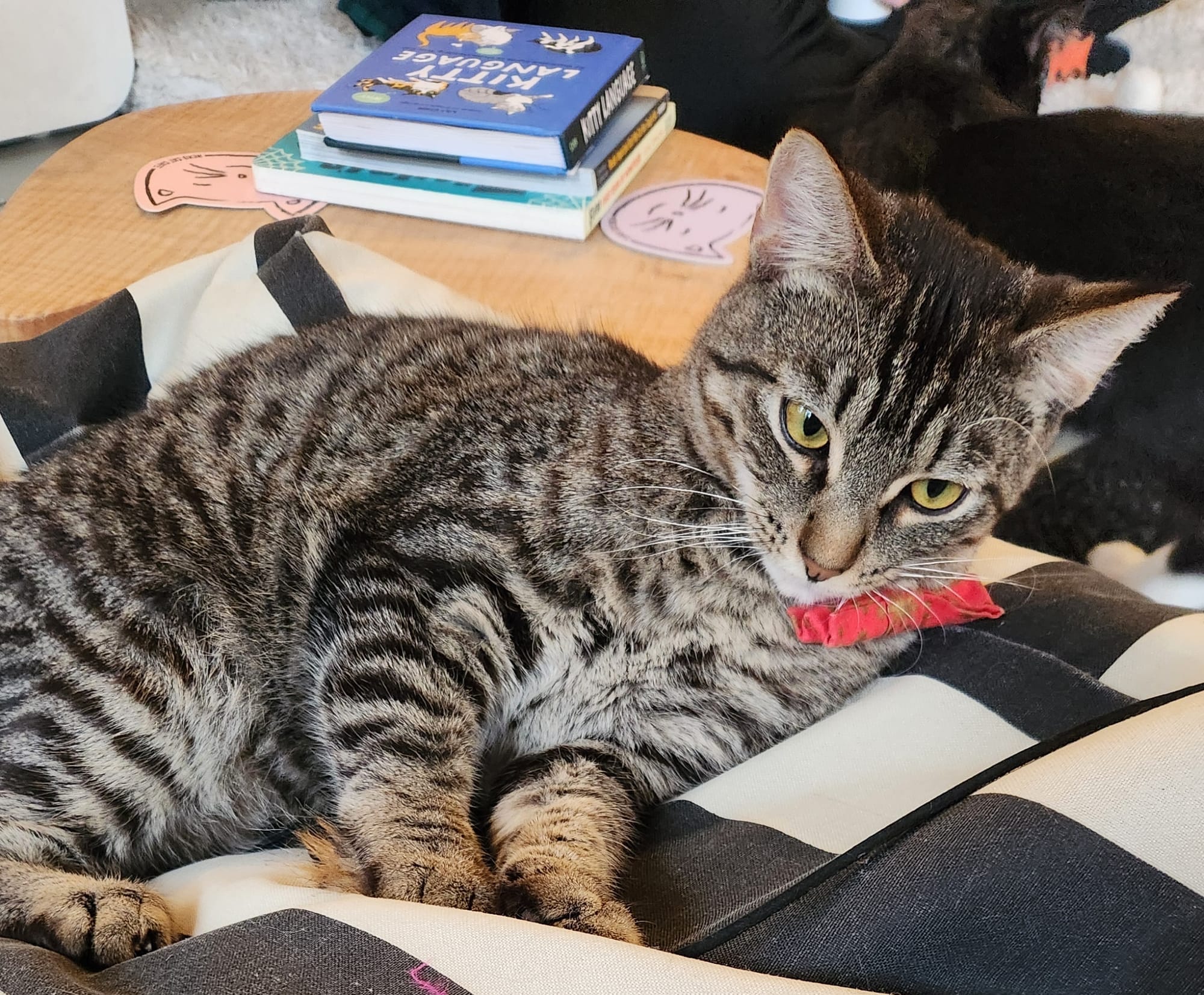 Dude, Where's My Update? #13