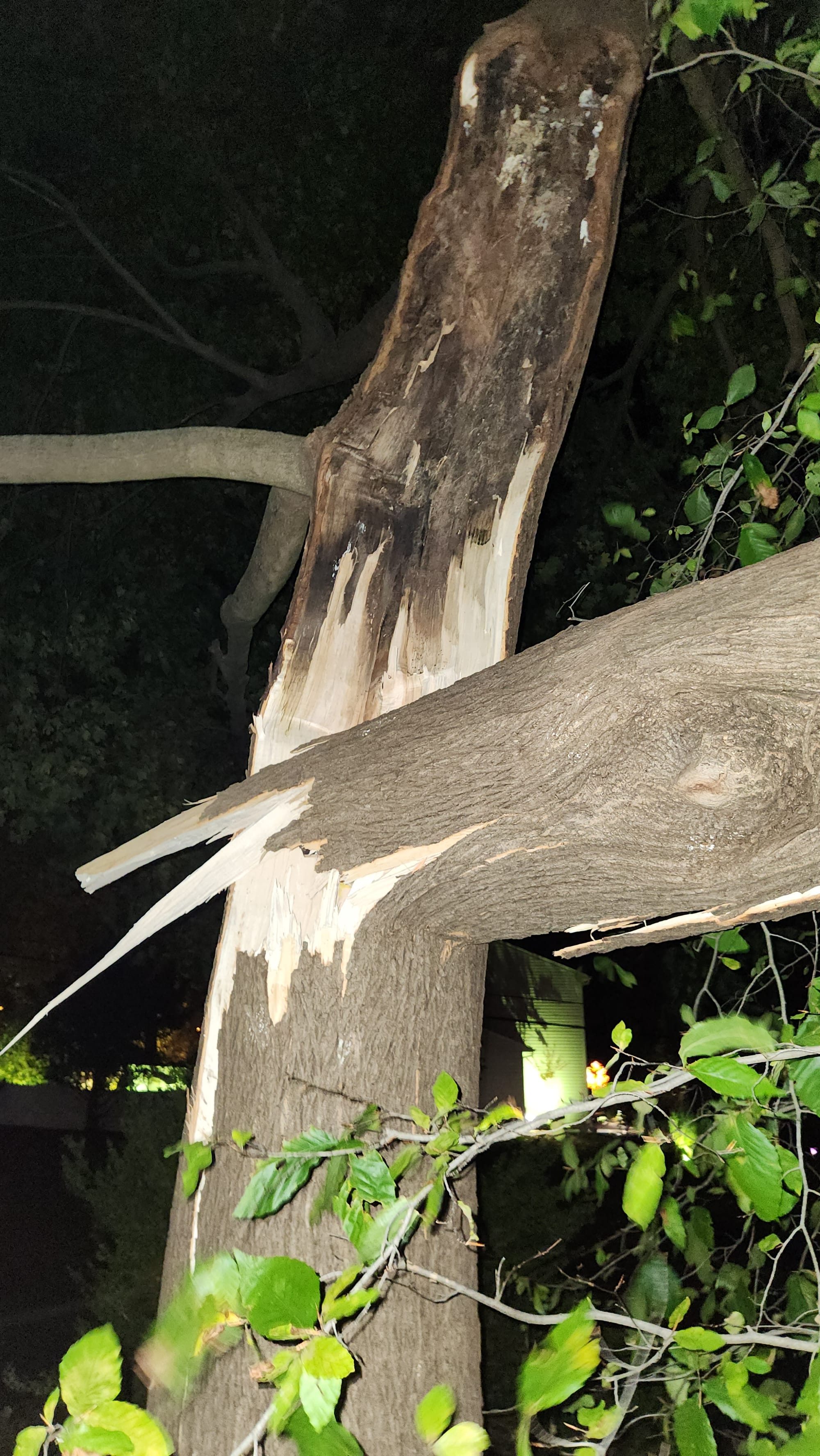 Dude, Where's My Update? #13