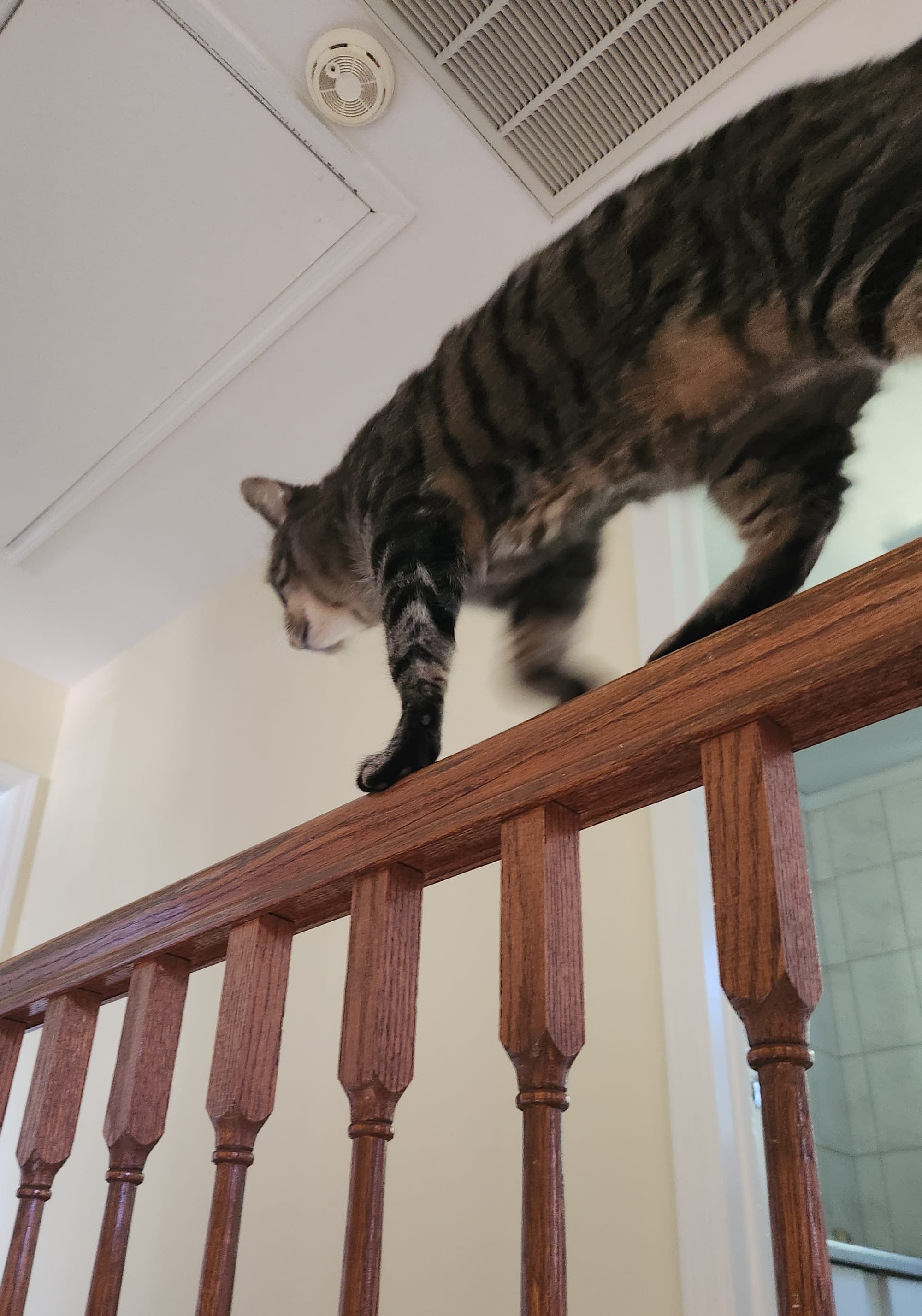 Dude, Where's My Update? #13